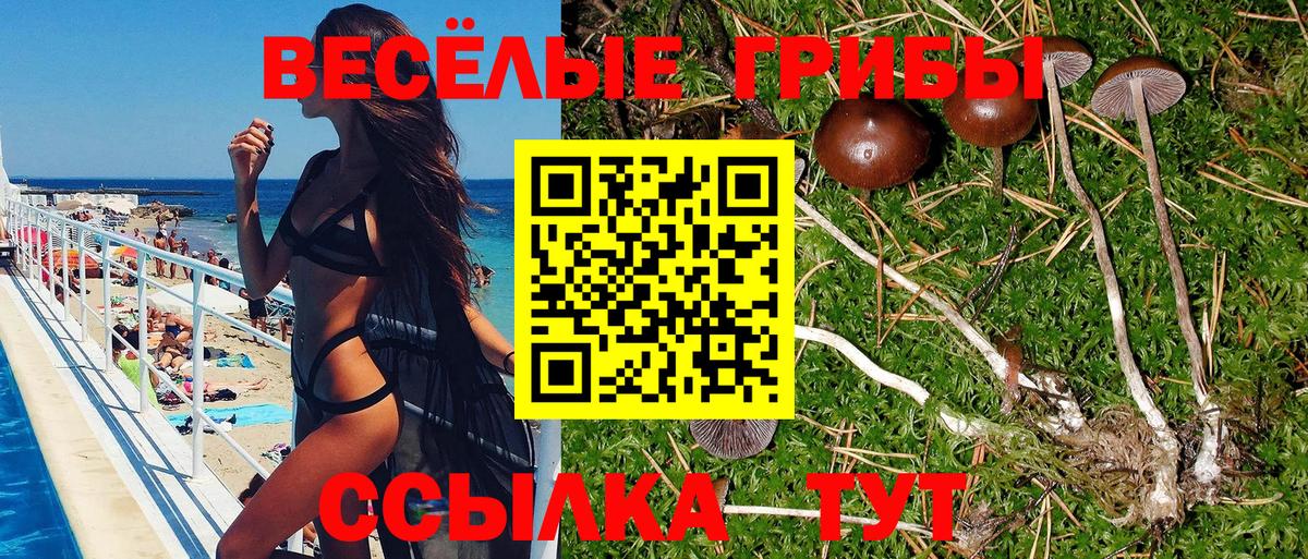 Галлюциногенные грибы прущие грибы  наркошоп  Галлюциногенные грибы GOLDEN TEACHER  Алексеевка  Вход с VPN 