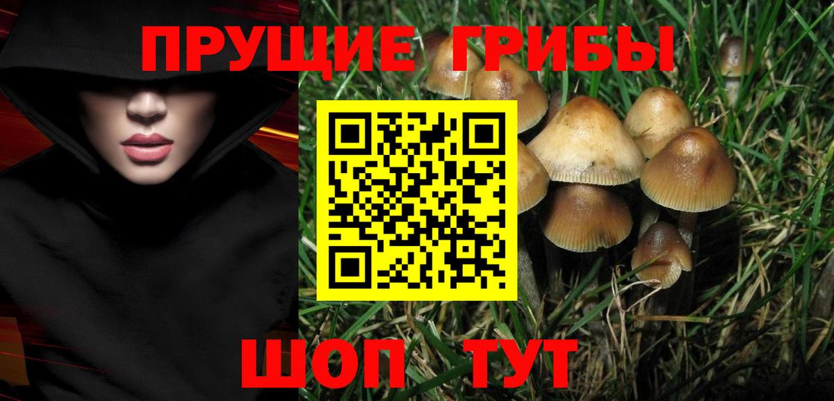 Псилоцибиновые грибы GOLDEN TEACHER Алексеевка